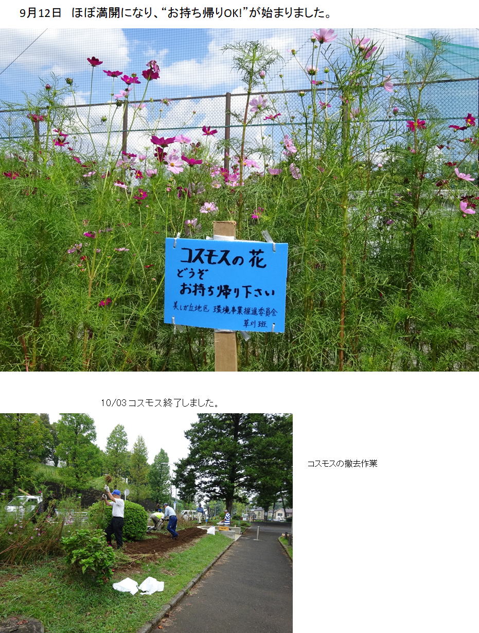 10/15 終了しました。